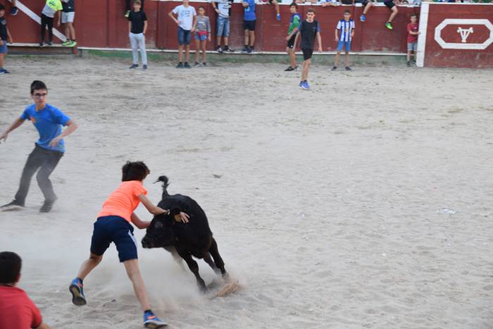 Berazubiko festak 2017, zeze 40 1507822966725