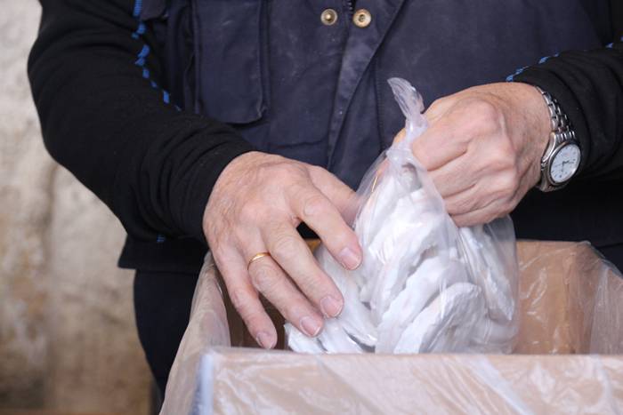 SAN BLAS EGUNA 2017 3 1486123767106