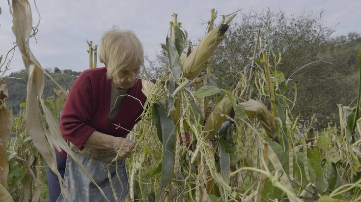 'Iturralde' dokumental laburra ikusteko aukera, Tolosan