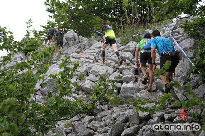 T3T tontor 2016 hernio 38 1466351084780