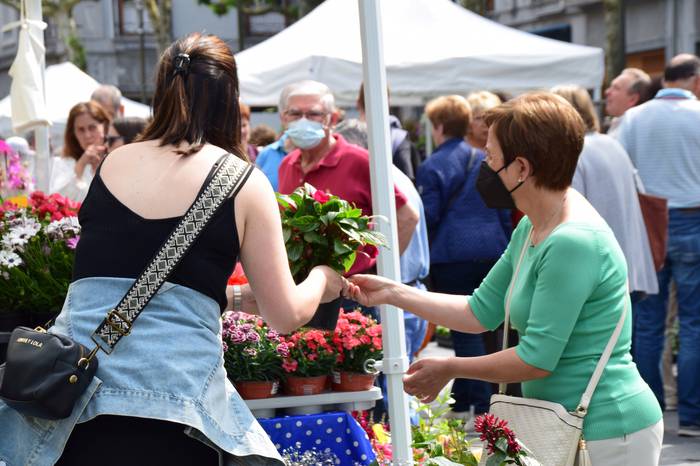 Lore eta Landare azoka Tolos 44 1652529033396