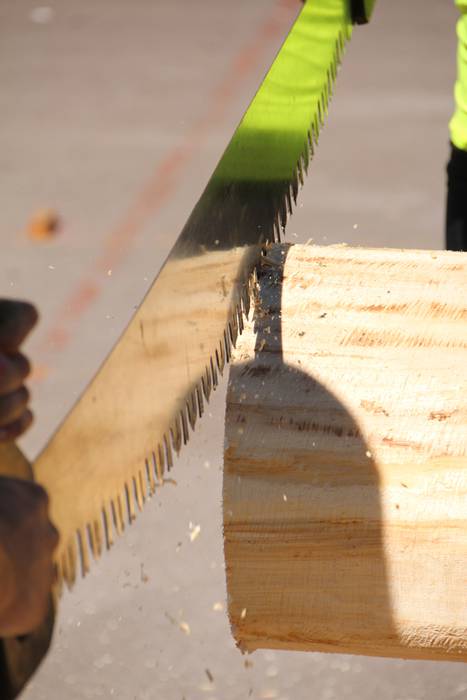 Berastegiko San Lorentzo jaiak 2016 7 1470421911781