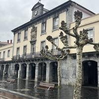Ohiko osoko bilkura