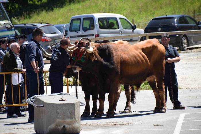 San Isidroez gozatu dute 14 1557925565954