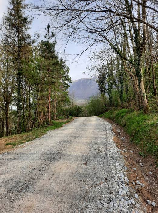 Amezketa errepide konponketa 11 1652802059227