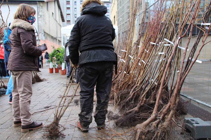 Zuhaitz azoka 2022 8 1645283026032