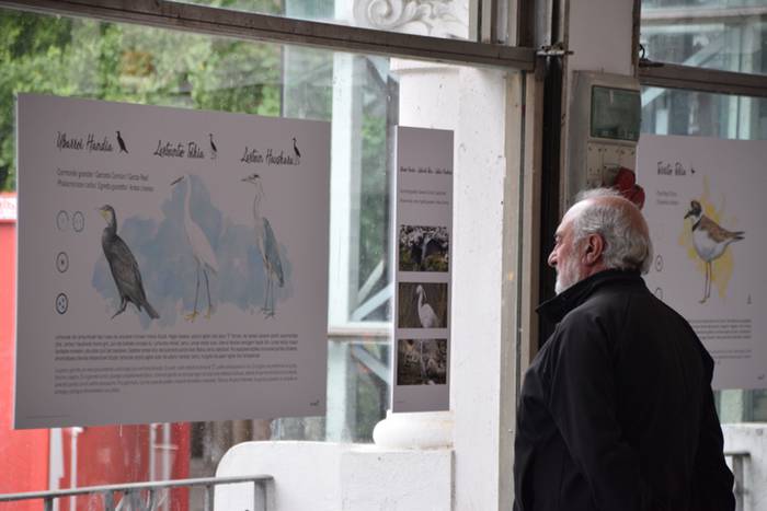 Oria ibaiko hegaztien gida 1 1496757623703