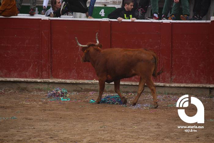 Zezenak adarrak okerrak ditu 113 1488277819524