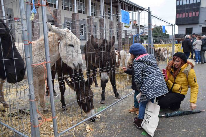 Berastegi hogeita batgarren  26 1572793376202