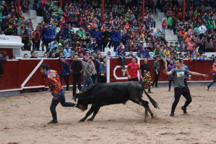 Inauteriak 2020, zezenak Ost 39 1582222560709