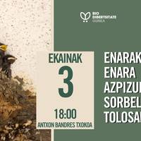 Biodibertsitate Gunea