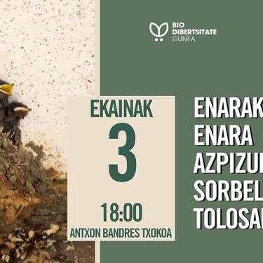 Biodibertsitate Gunea