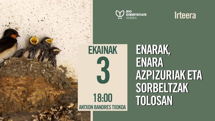 Biodibertsitate Gunea