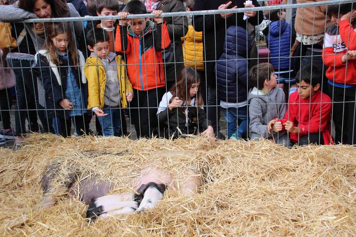 Gabonetako azokak jende asko 24 1576941757362