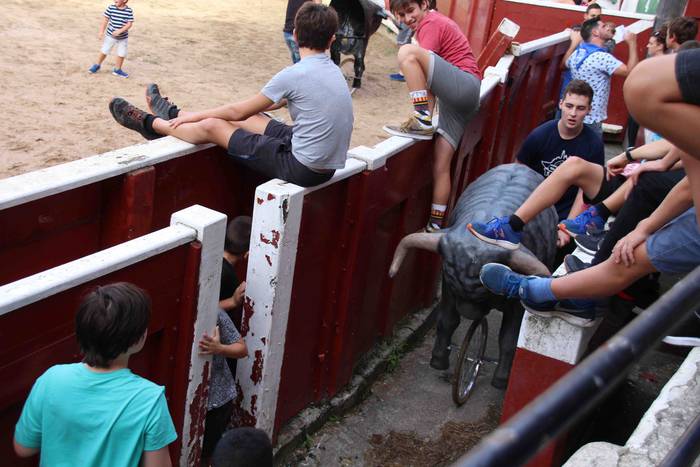 Zezen plaza hartu dute umeek 14 1539360586075