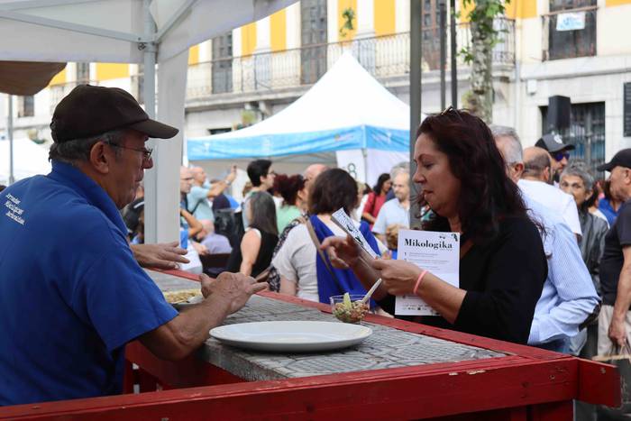 Perretxikoen plaza 46 1666439582405