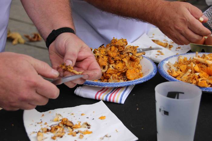 5.000 kilo txanpinoi saltsan 14 1571486536180