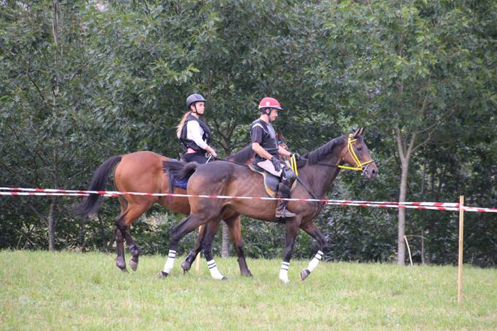 Zaldiak lasterka, gazteak desafioan 15 1472406573630