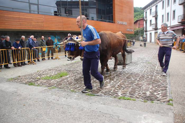 San Isidro Eguna Amasa Astea 22 1526395801001