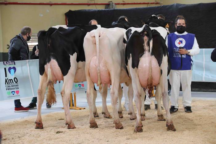 XII. Euskal Herriko Frisoi T 31 1637418676707