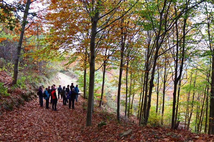 Adunako kultur egitaraua 202 54 1637571740734