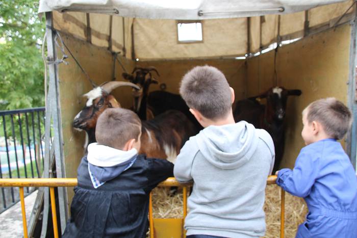 Bertako produktuak nagusi 34 1477233334986