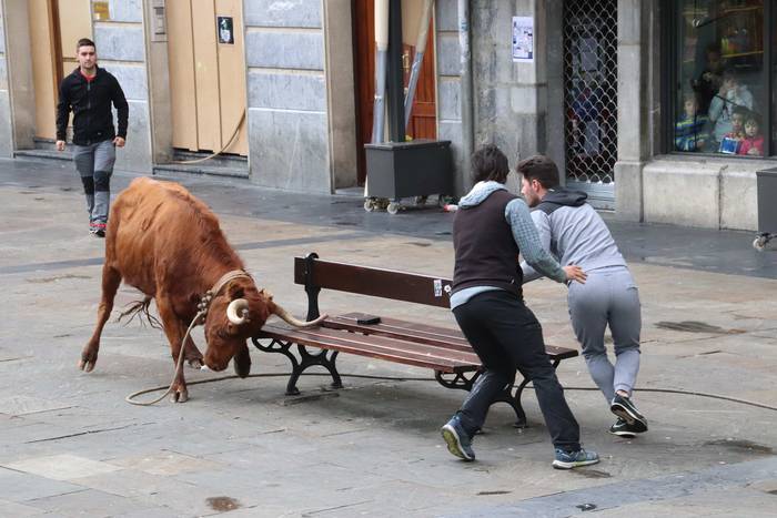 Zezenaren aurrean korrika 22 1551703663705