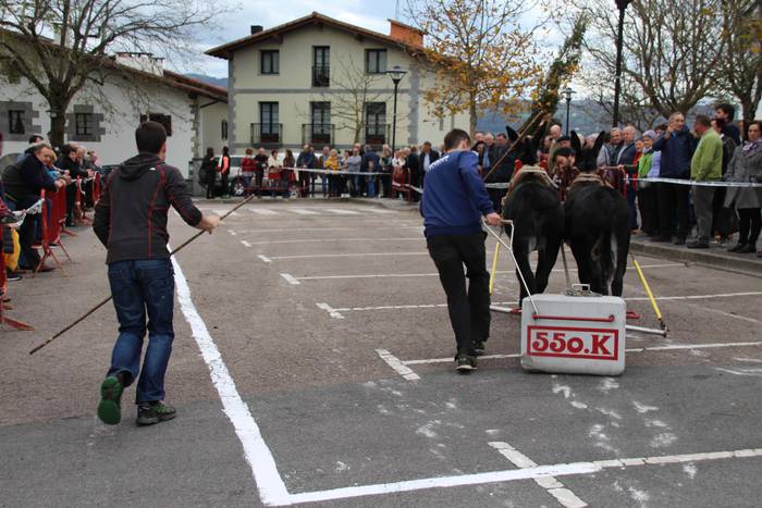 Idiek irabazi diete astoei A 15 1541962096708