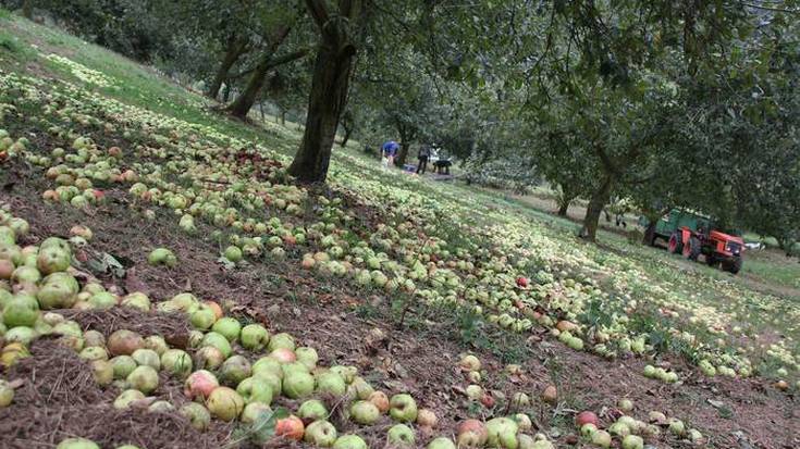 Udazkenak dakarren aldaketa