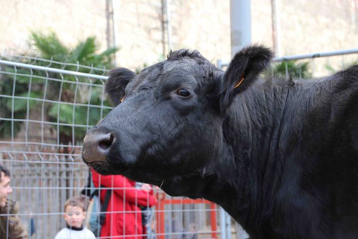 Gabonetako azokak jende asko 27 1576941759380