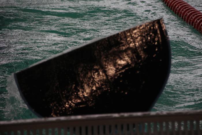 Hegats eta arnas, Roberto Ja 12 1495899699961