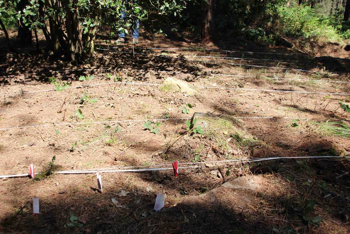 Gerra 29 1562842950704