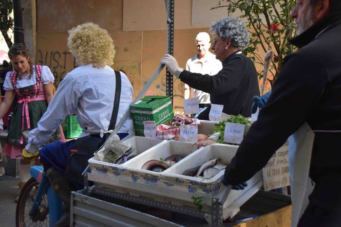 Zaldunita 2019. Karrozak eta 49 1551626962851