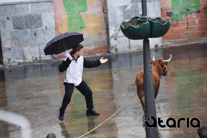 Inauteriak 2018, sokamuturra 24 1518437932140