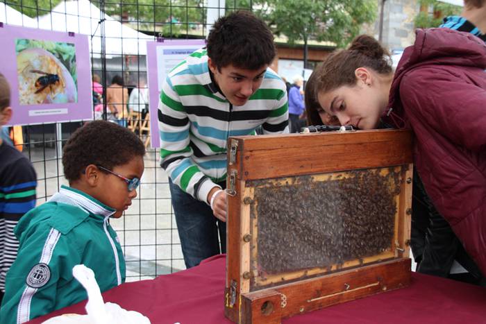 Ibarra, azoka eta piparra 56 1474219033348