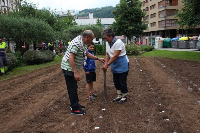 Aurtengoa, biolinak gozatua 32 1497265131706