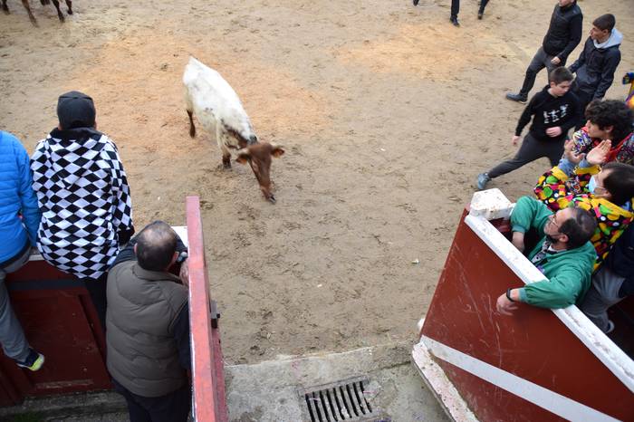 xexenak ostiral mehea 38 1645807735041