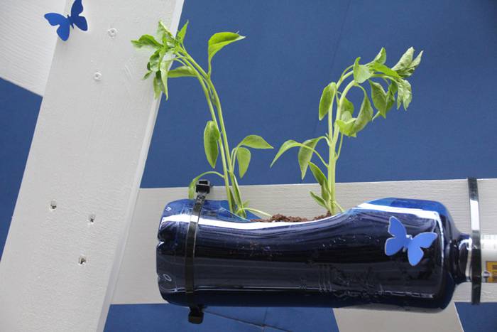 artekalea tolosa baratzeak 2016 2 1462968042835