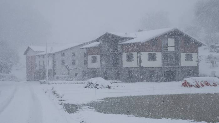 ELURRA 2017 AZAROA 2 1512123588146