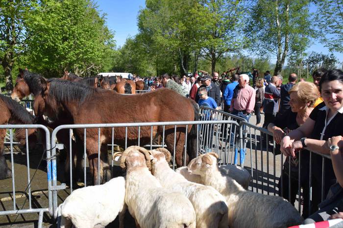 Larrerati dituzte abereak Ar 4 1556716237049