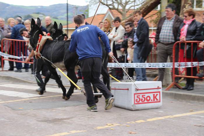 Idiek irabazi diete astoei A 14 1541962078585