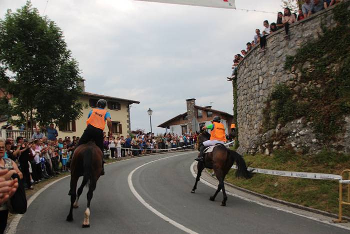 Zaldi gainean lasterka Abalt 20 1498413137426