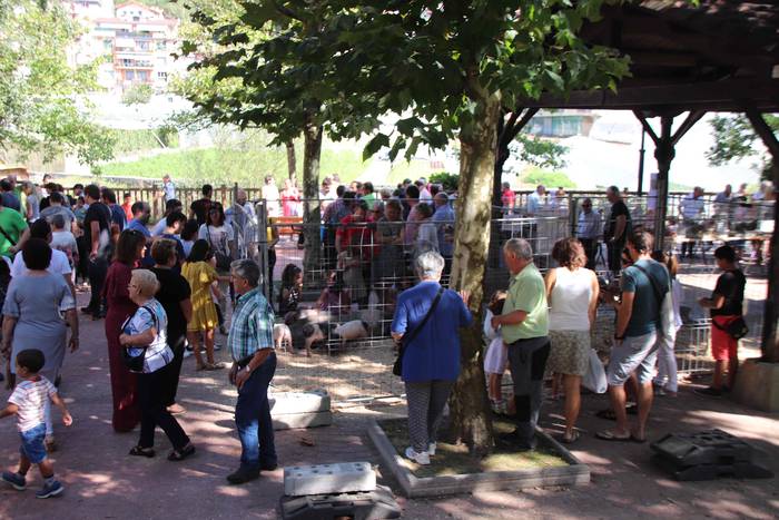 "Ibarra, Azoka eta Piparra" 72 1537103543942