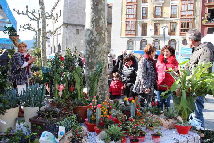 Tolosako Lore eta Landare Az 23 1549717208798