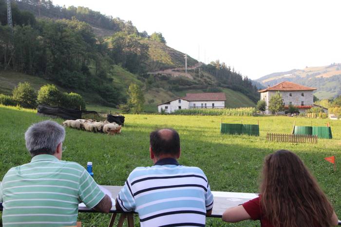 Artzaina eta txakurraren artea Amezketan 41 1472322592480