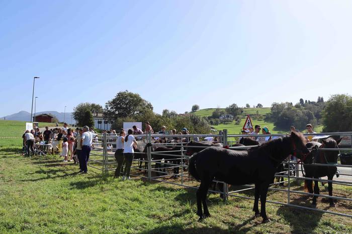 Zizurkilgo herrigunea azoka  41 1665320452230