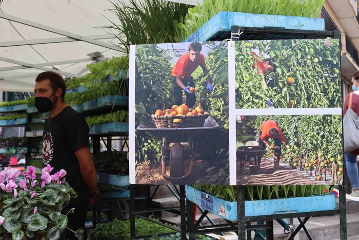 Ibarrako azoka bueltan da 36 1632048961610