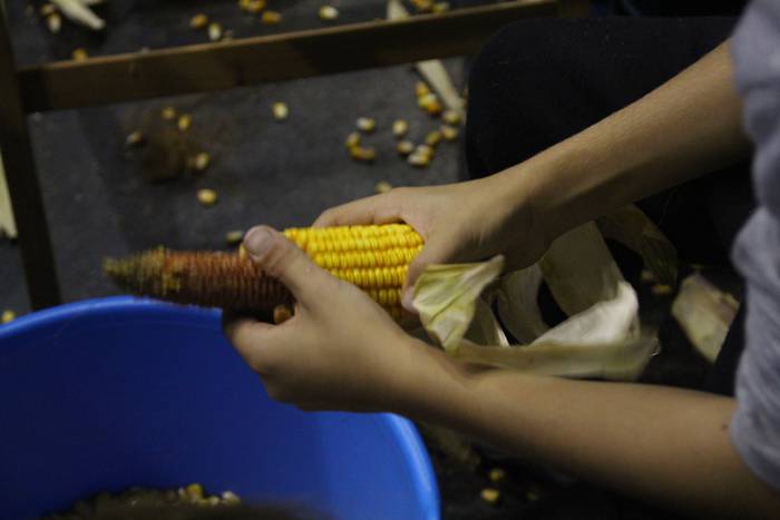 Frontoiaren babesean eta jol 15 1510334253106