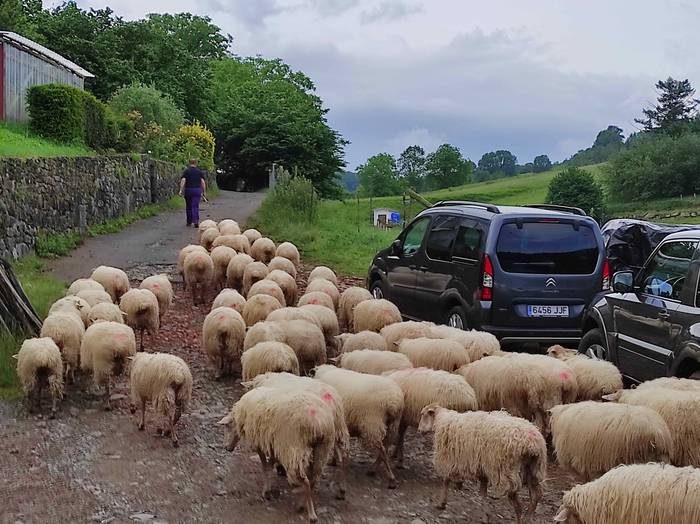 Berastegiko artzaintza eta g 8 1624262856883