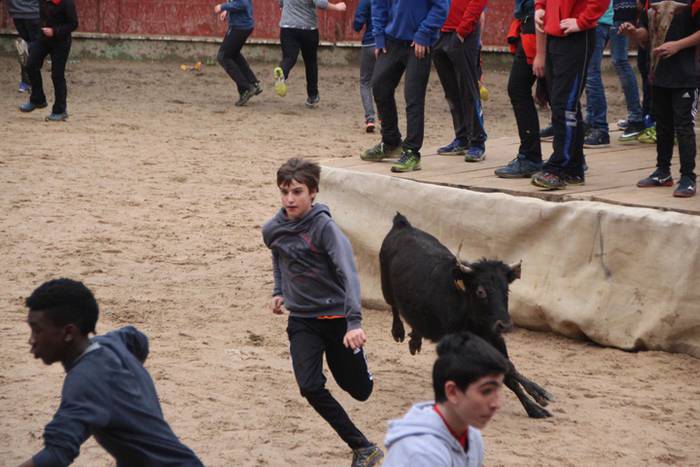 Txaranga eta zezenak piñata  36 1488738936698